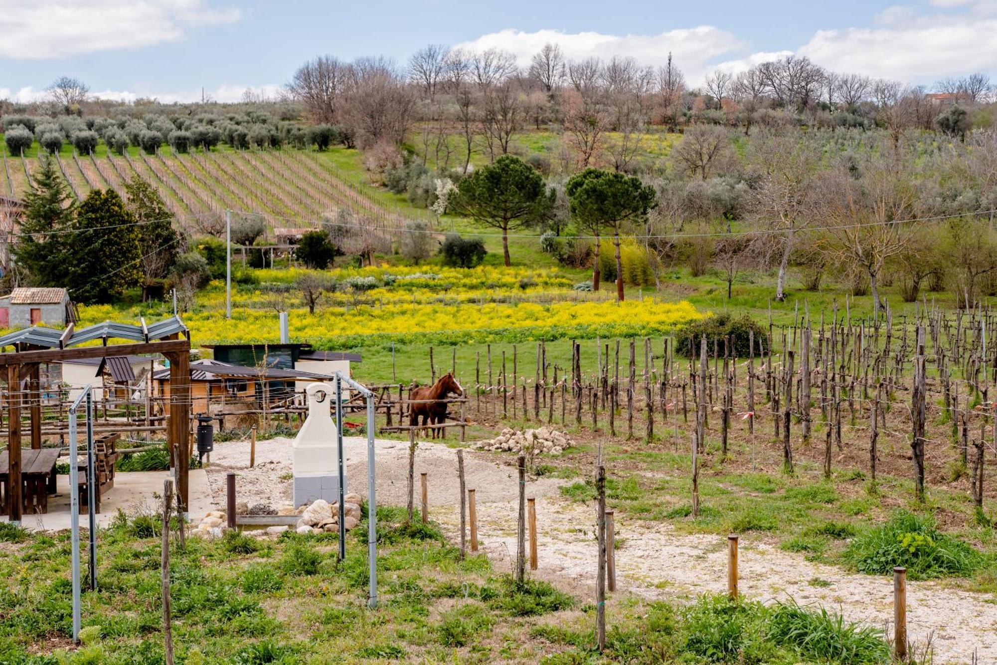 Il Poggio Degli Antichi Sapori Paternopoli Exterior foto